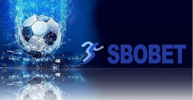 Truy cập potato222- Link đăng nhập nhà cái SBOBet an toàn nhất